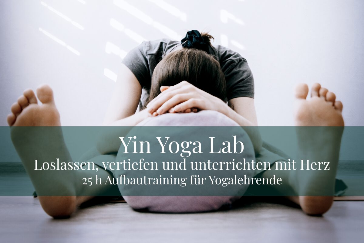 Yin Yoga - Weiterbildung für Yogalehrer Online